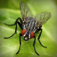 /album/vaicdg/photolia-a01-jpg/