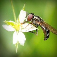 /album/vaicdg/photolia-a02-jpg/