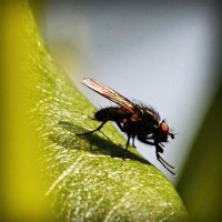 /album/vaicdg/photolia-a04-jpg/