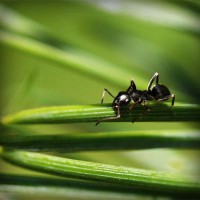 /album/vaicdg/photolia-a05-jpg/