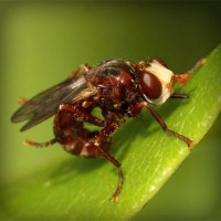 /album/vaicdg/photolia-a06-jpg/