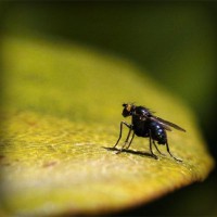 /album/vaicdg/photolia-a07-jpg/