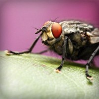 /album/vaicdg/photolia-a08-jpg/